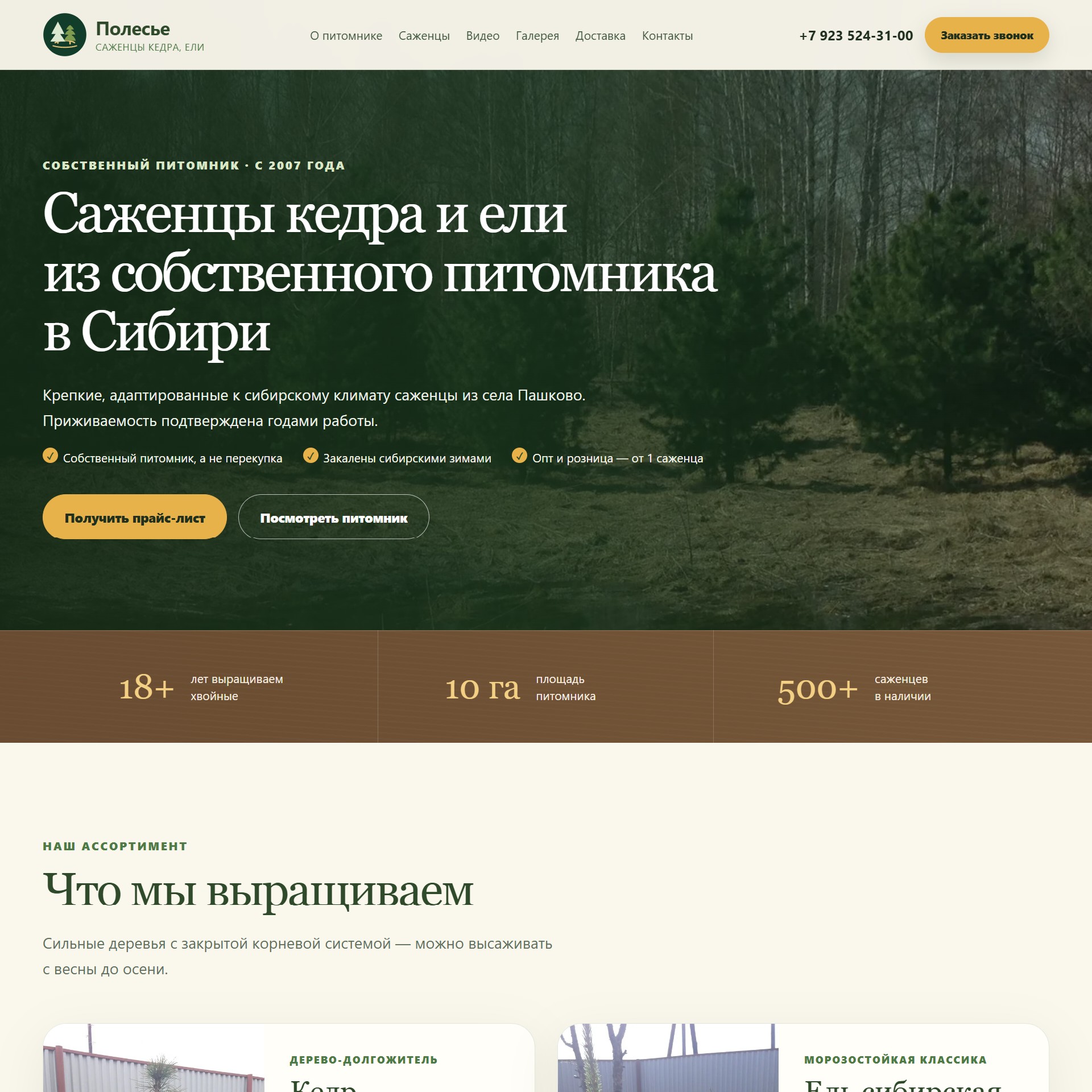 Сайт «Полесье» — Питомник хвойных деревьев